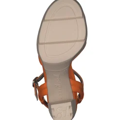 Paul Green Leslie Heel